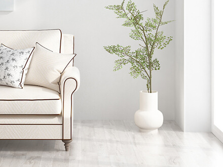 辦公室風(fēng)水的植物擺放